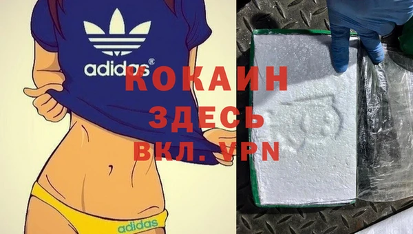 шишки Армянск