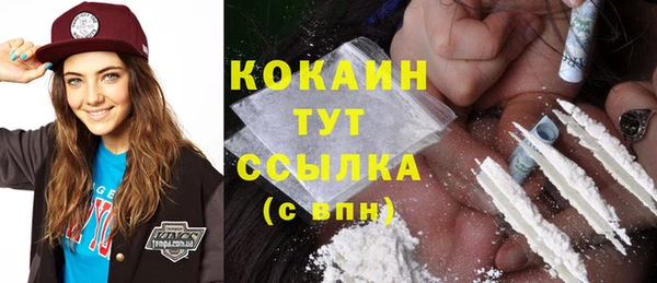 шишки Армянск