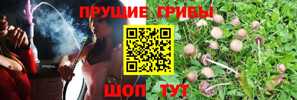 Галлюциногенные грибы мухоморы  Вход с VPN  Псилоцибиновые грибы Cubensis  Куйбышев 
