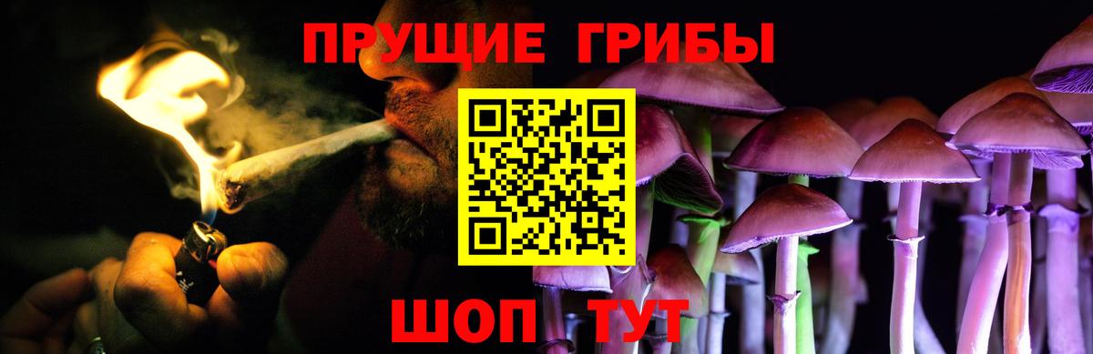 Псилоцибиновые грибы Psilocybine cubensis Куйбышев